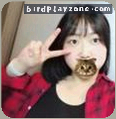 周强