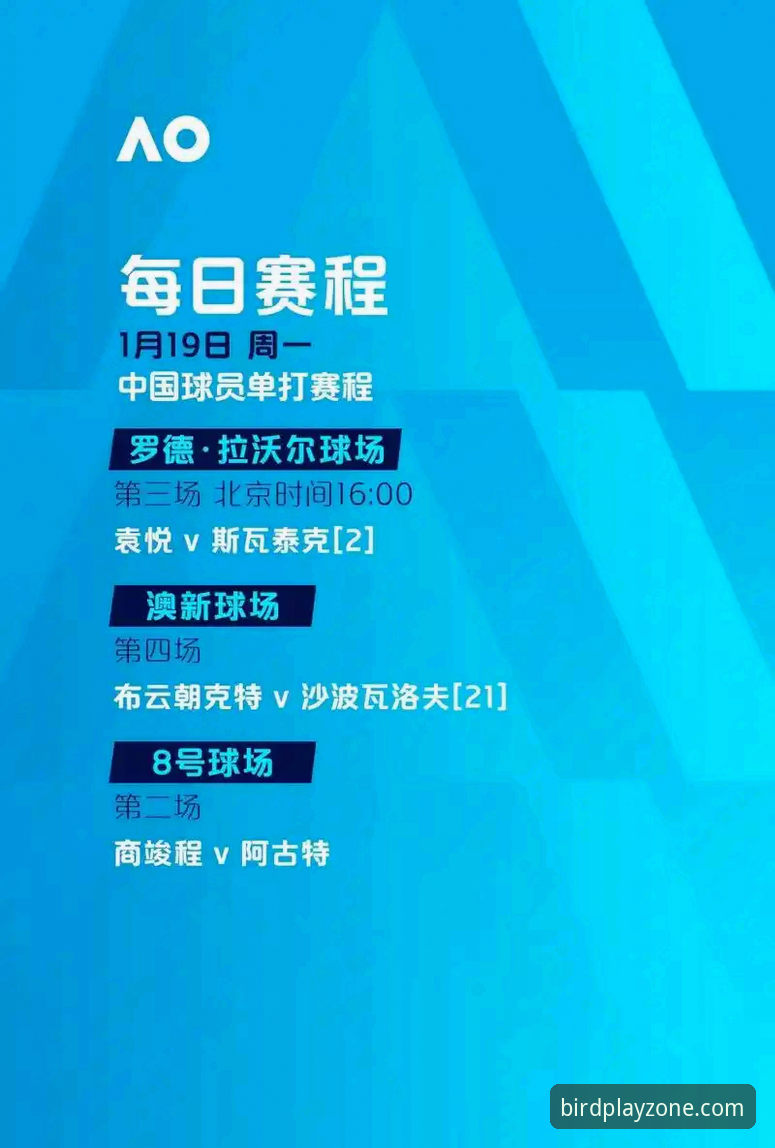 小鸟体育官方登录下载不了怎么办 小鸟体育官方登录下载遇阻?2026新版入口最新动态与解决方案